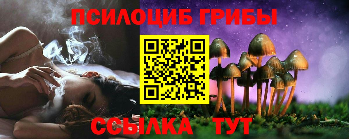 Тельмана  Галлюциногенные грибы Psilocybe  Вход с VPN 